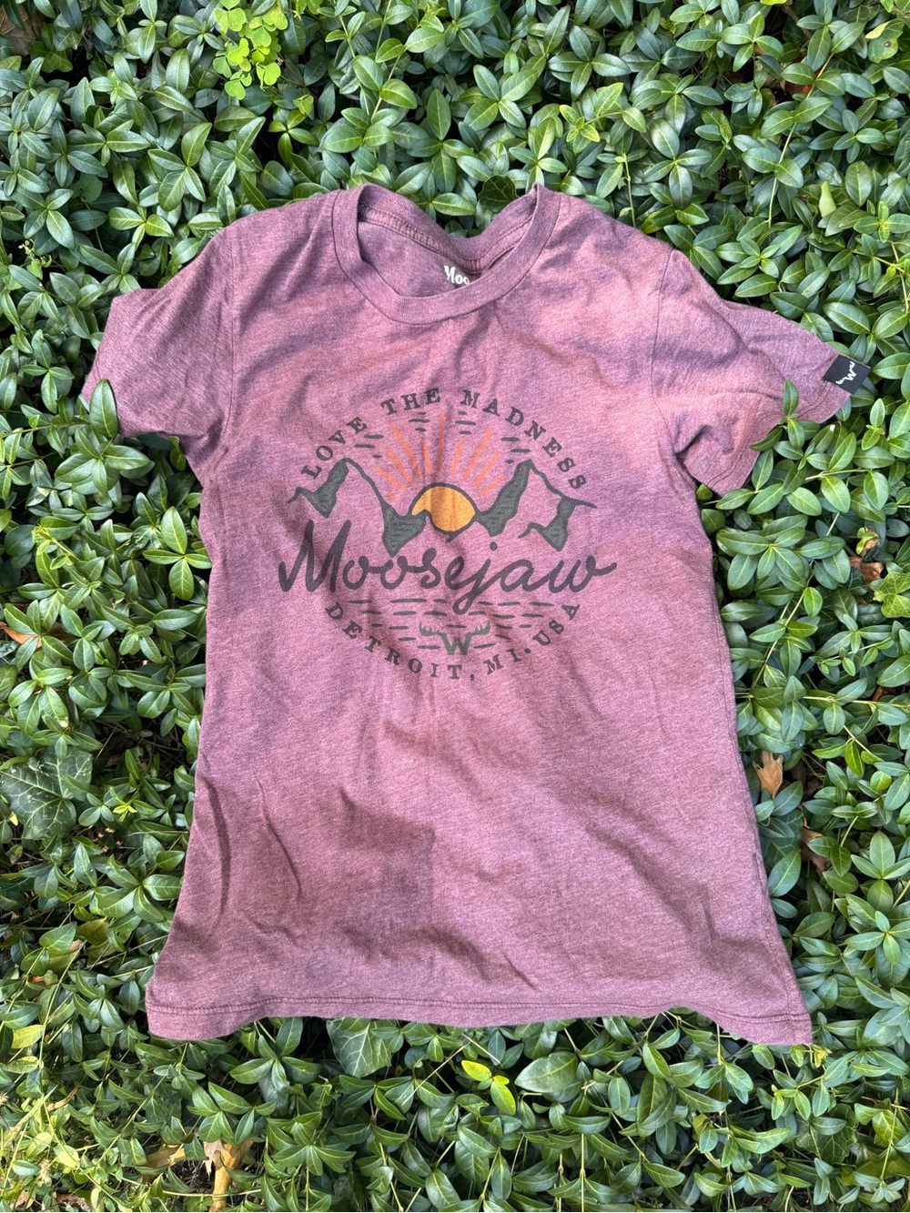 Moosejaw Kids' Mauve Graphic Tee with Sunrise Logo